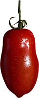 San Marzano tomatoes